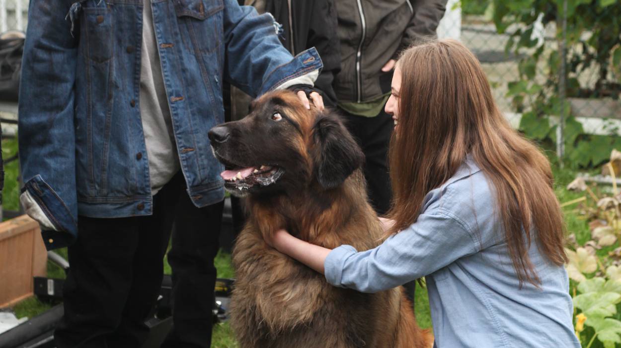 Berger the dog who stole the show (and some fries for lunch)
